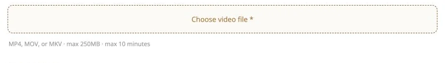 Choose video file control and displayed file limits